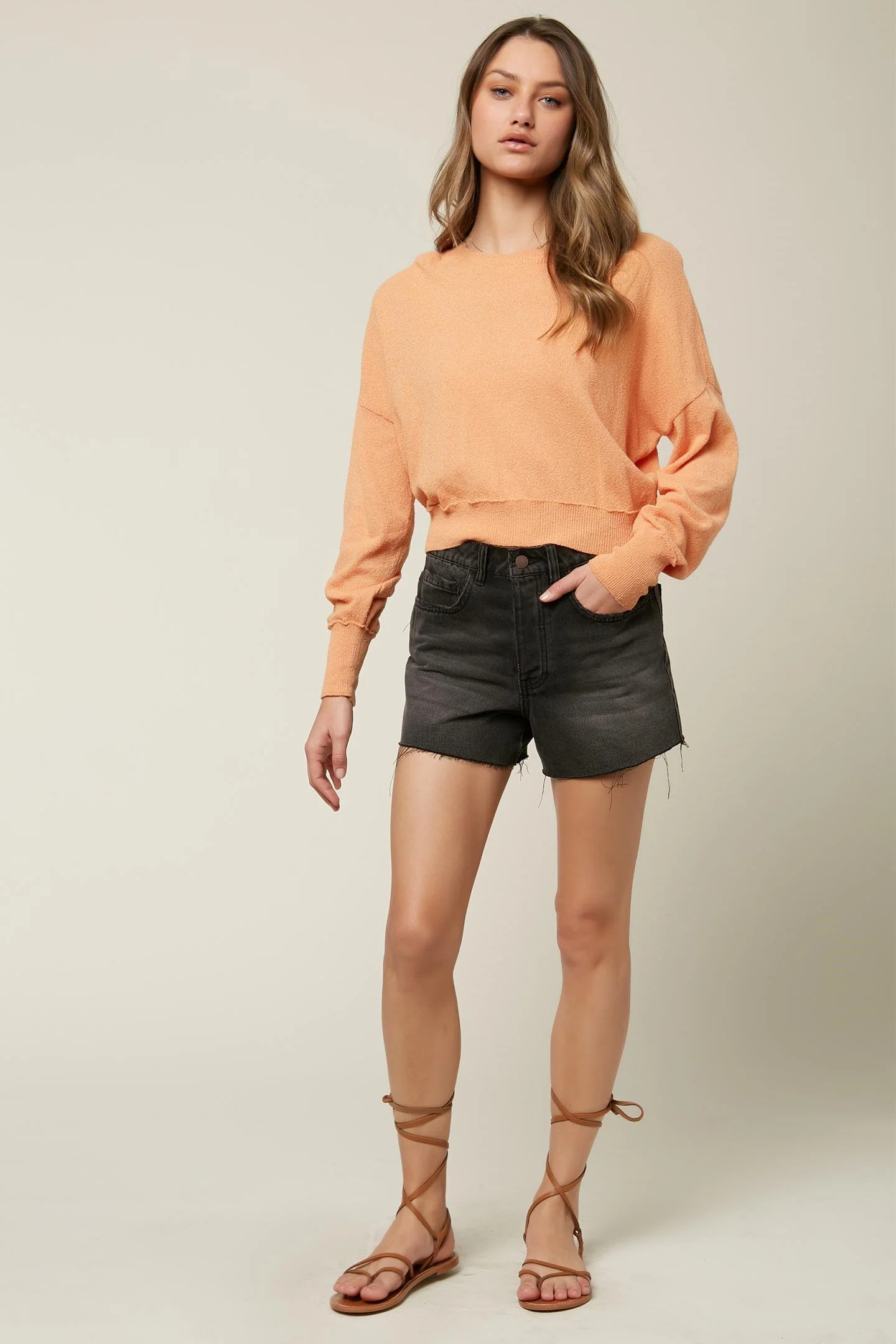 ASHORE - Image 3