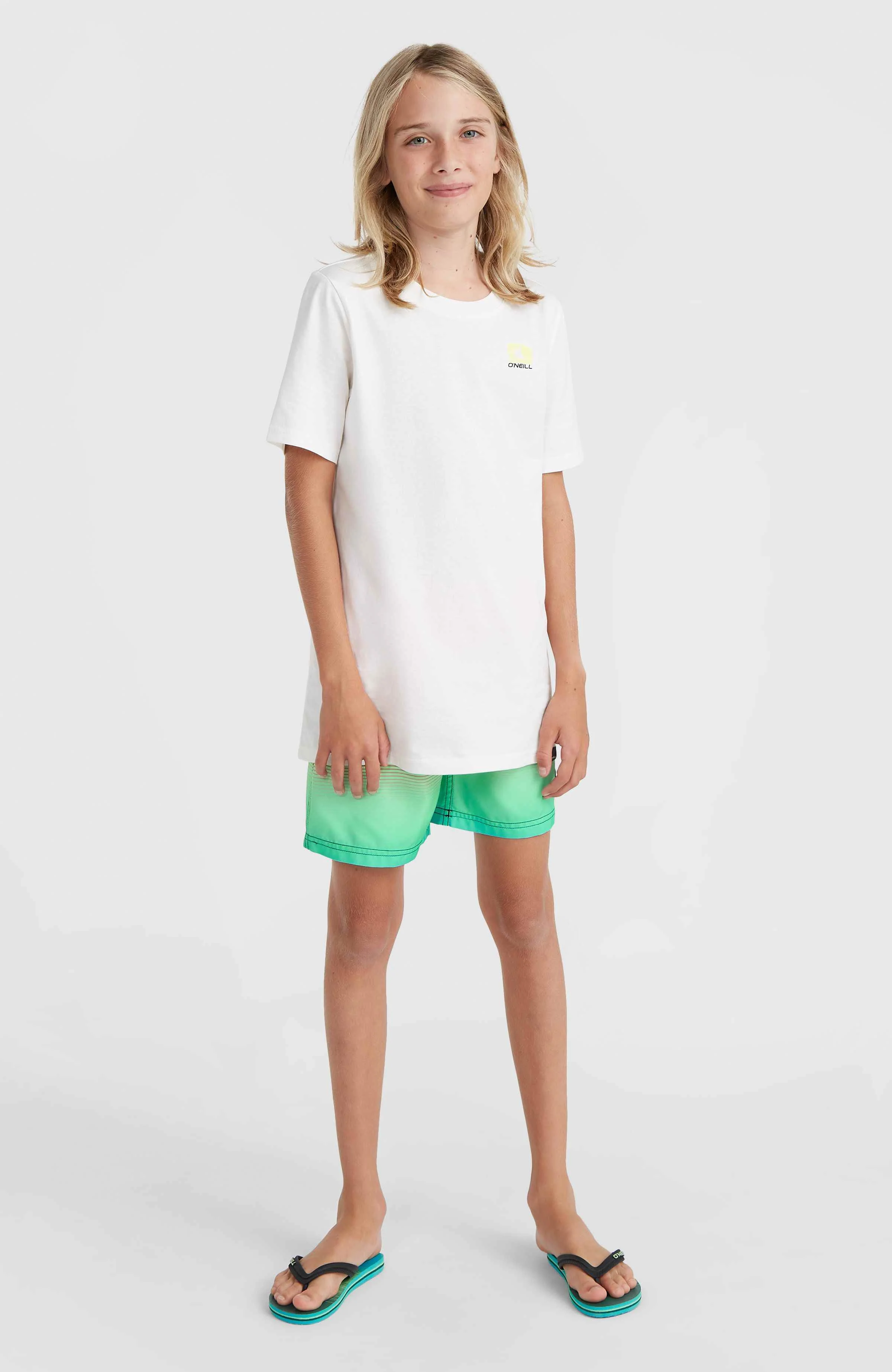 CALI GRADIENT 14'' SWIM SHORTS - Image 4