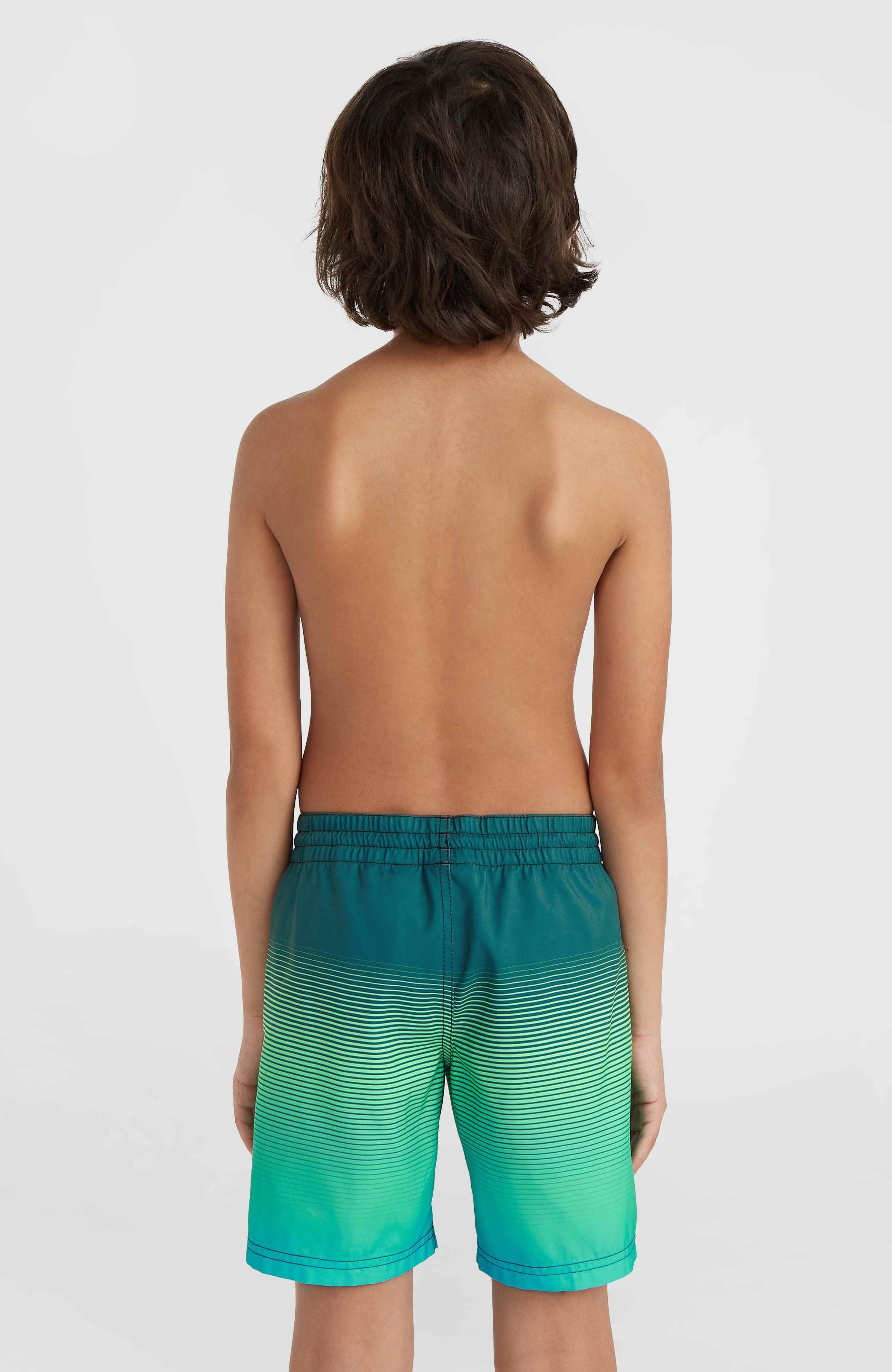CALI GRADIENT 14'' SWIM SHORTS - Image 2