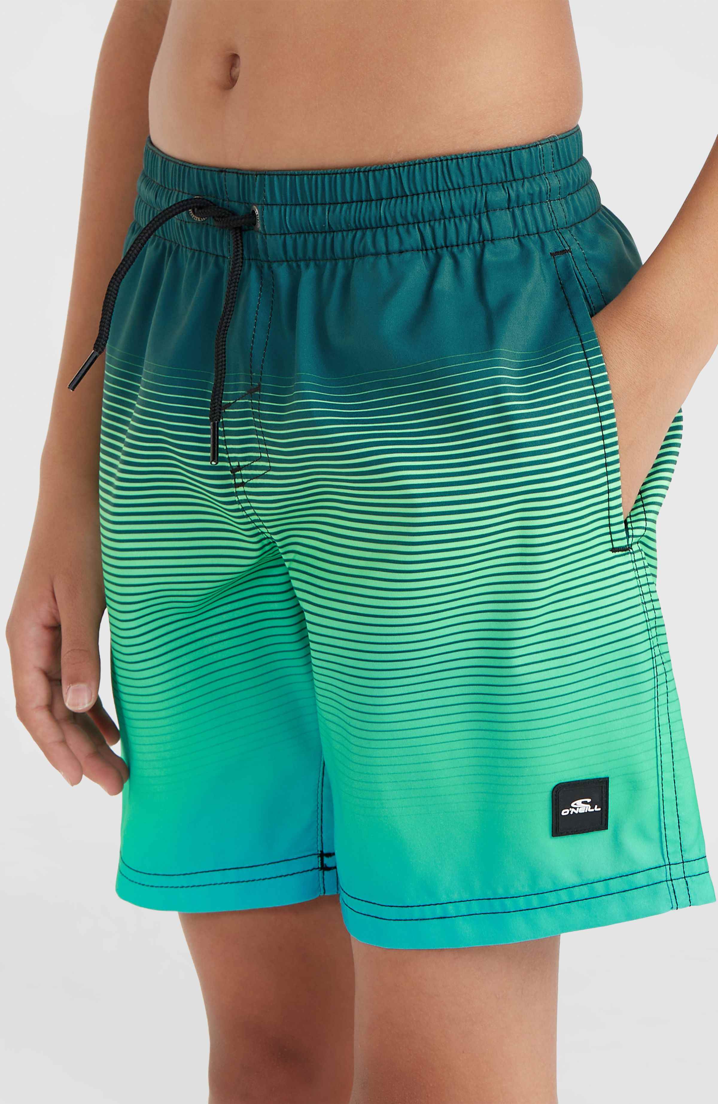 CALI GRADIENT 14'' SWIM SHORTS - Image 3
