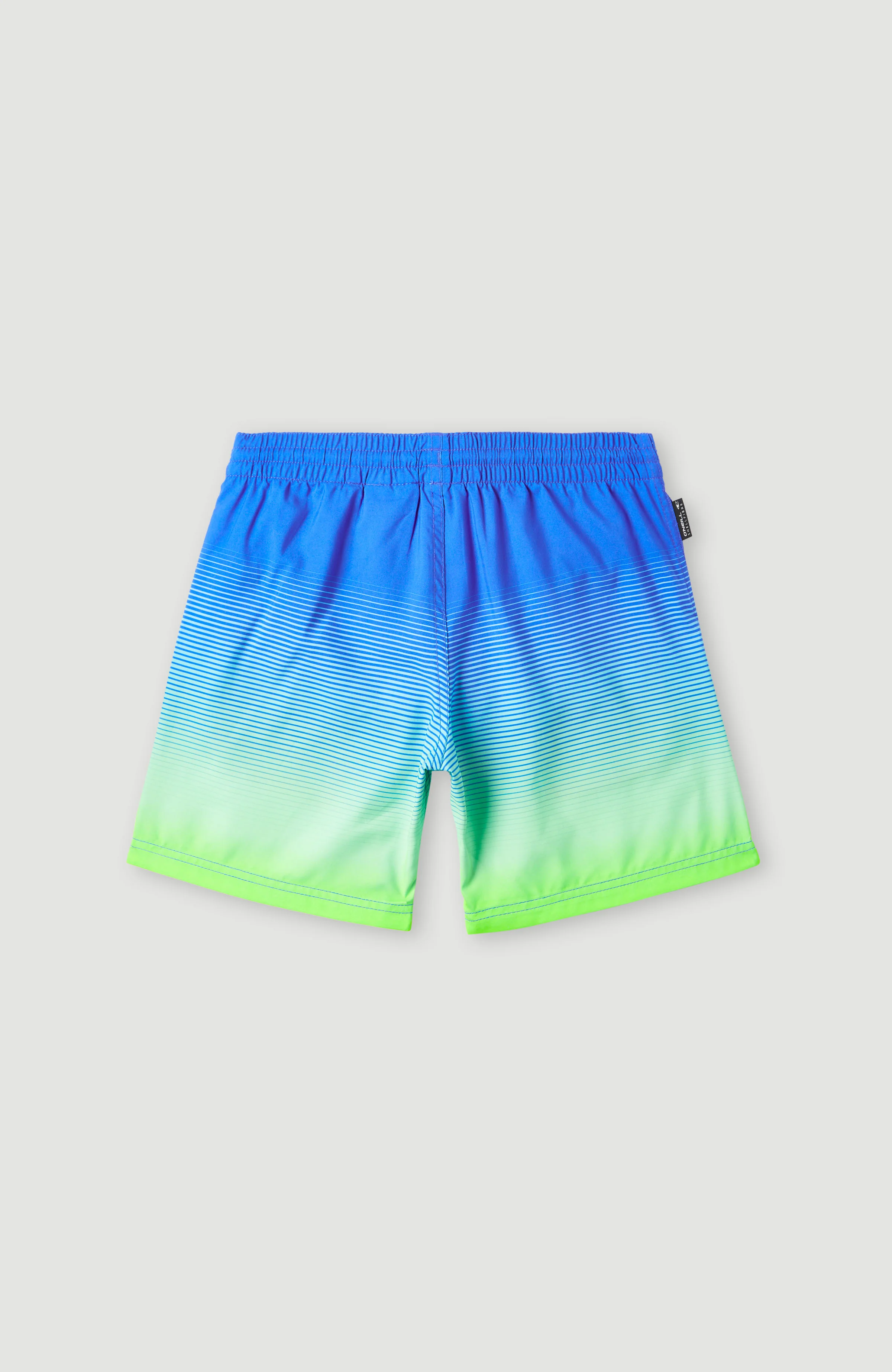 CALI GRADIENT 14'' VOLLEY - Image 5
