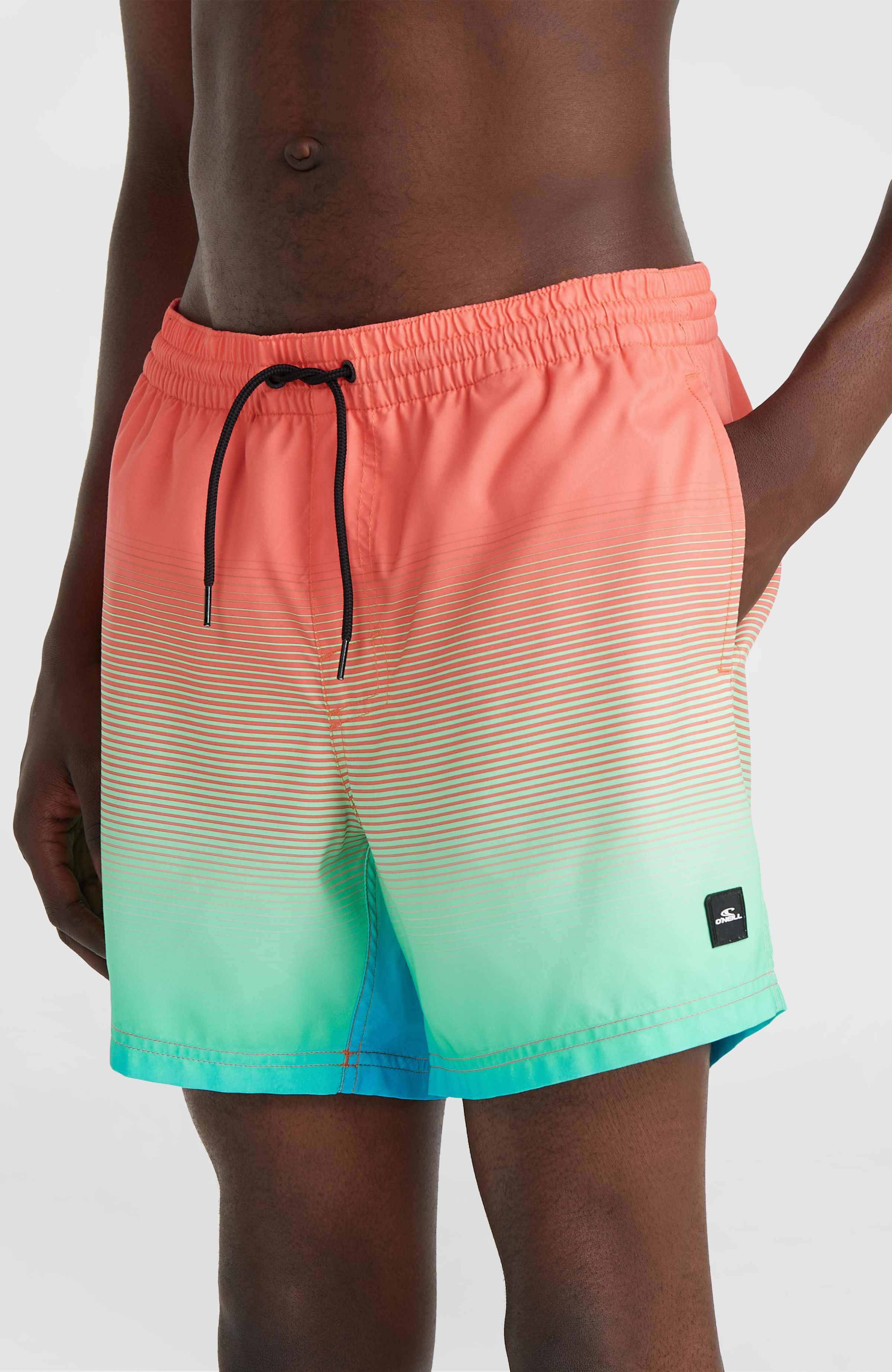 CALI GRADIENT 15'' VOLLEYS - Image 2