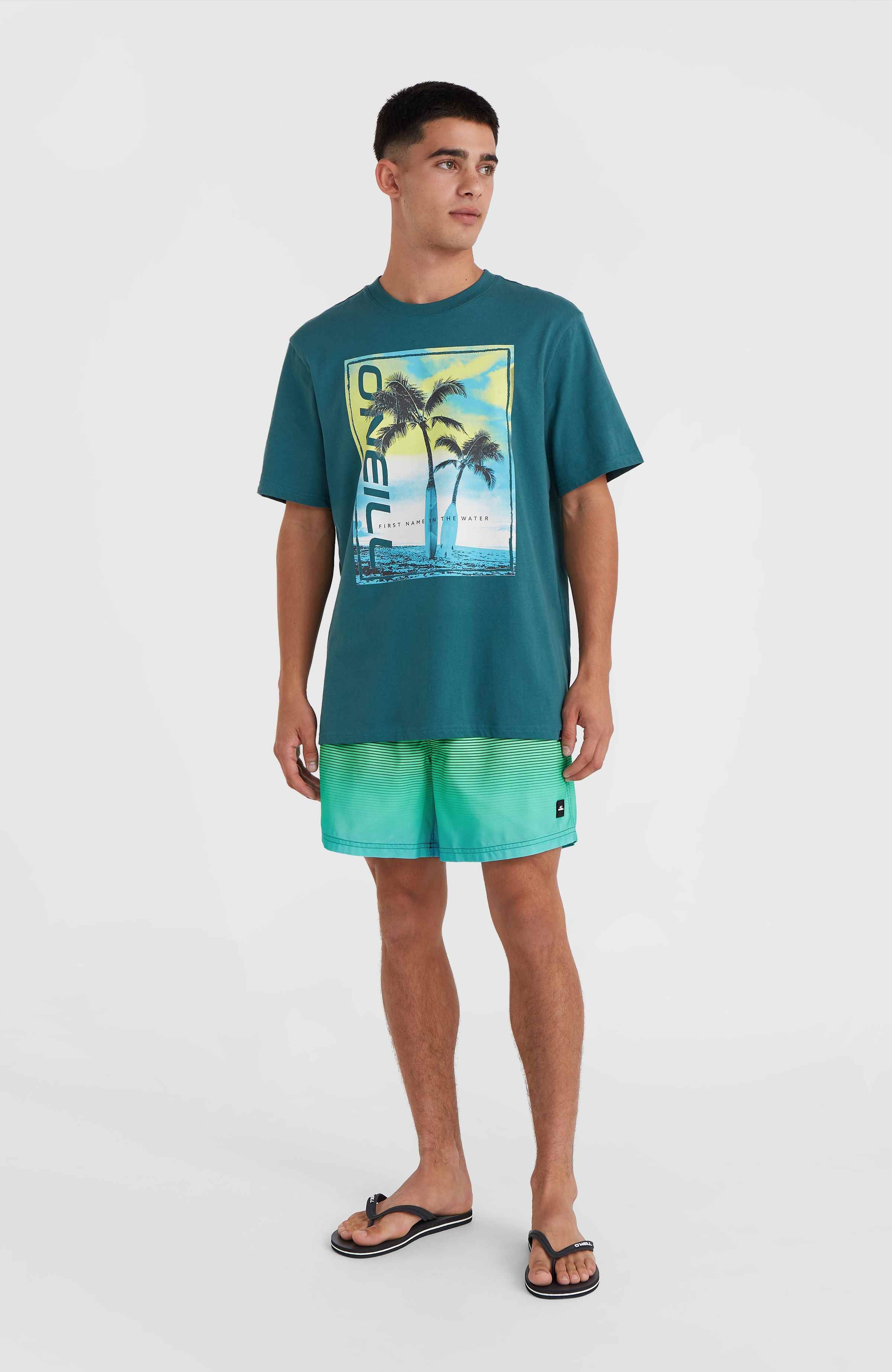 CALI GRADIENT 15'' VOLLEYS - Image 4