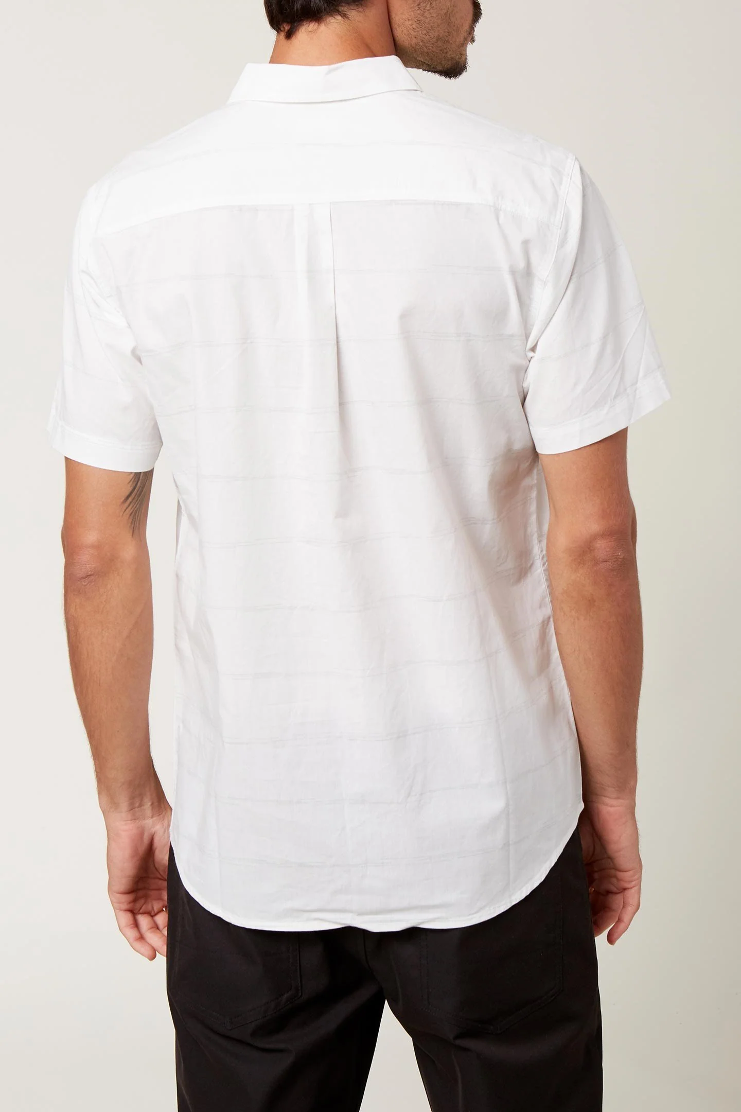 IMPERIAL STRIPE - Image 4