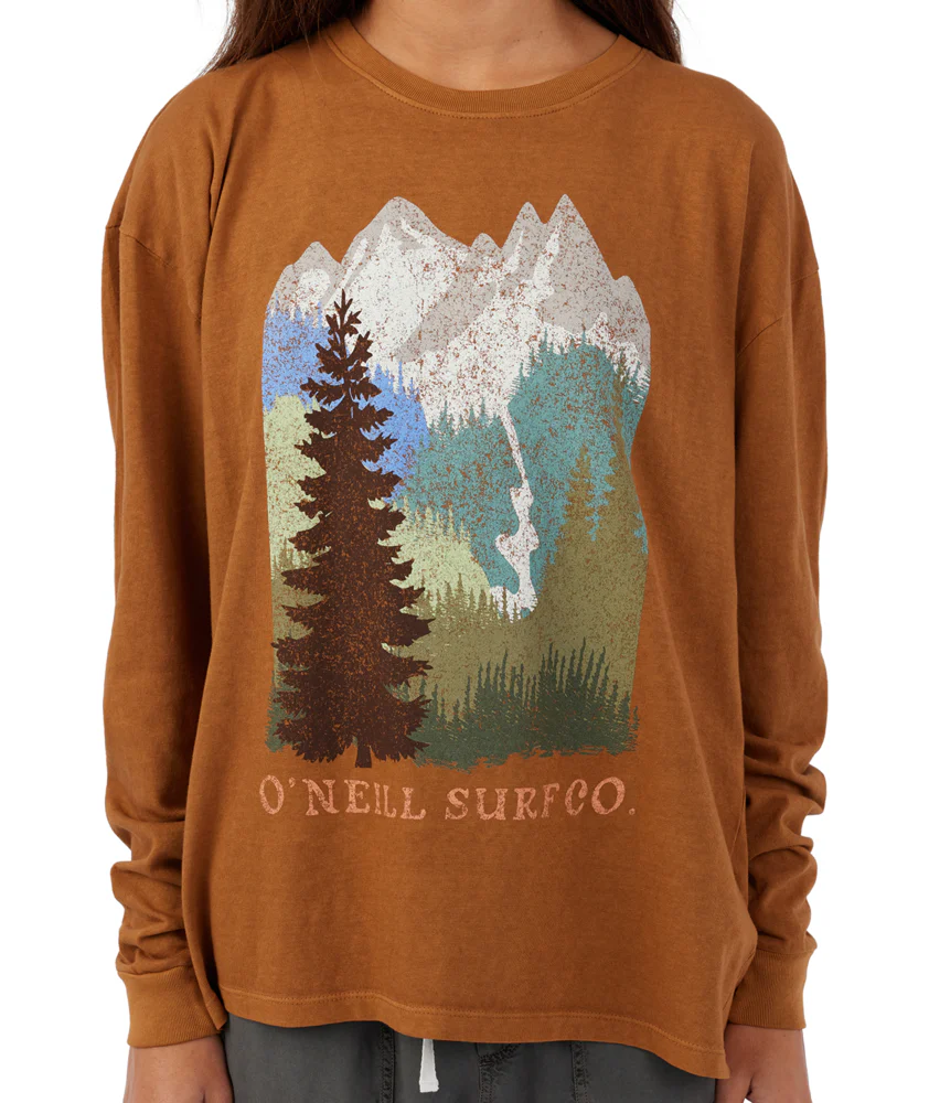 MOUNTAIN RANGE LONG SLEEVE TEE - Image 3