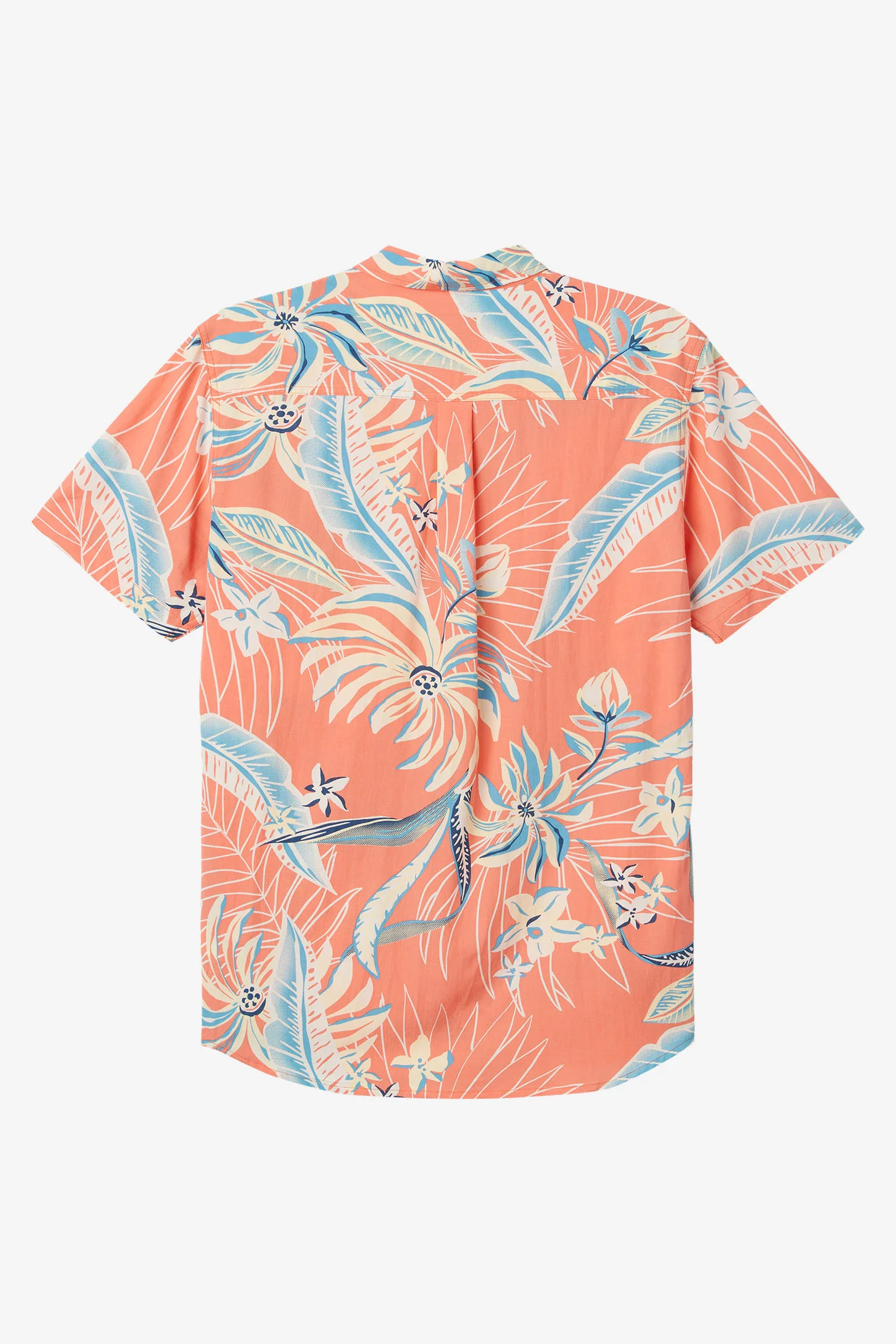OASIS ECO WOVEN - Image 2