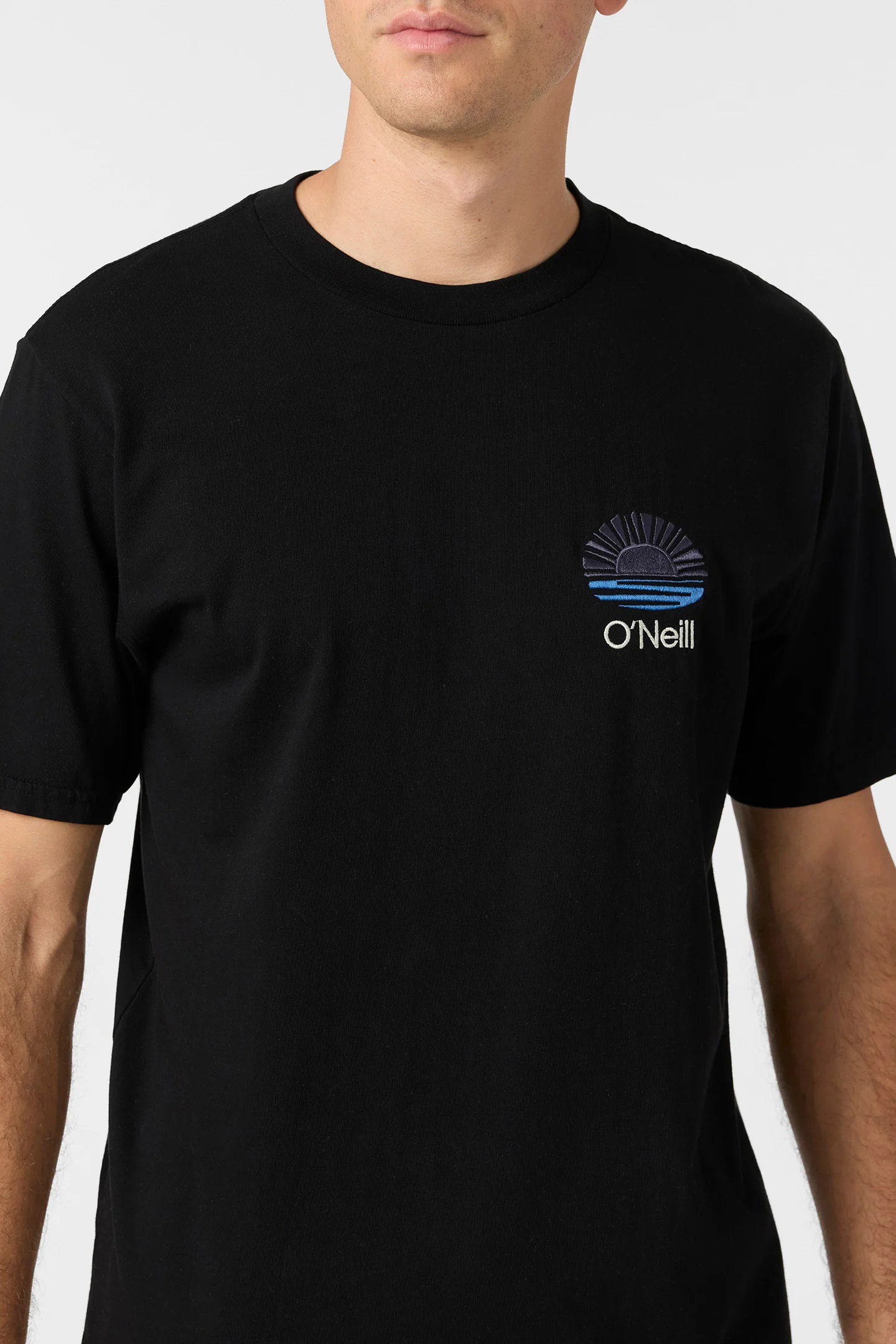OG ELEMENT TEE