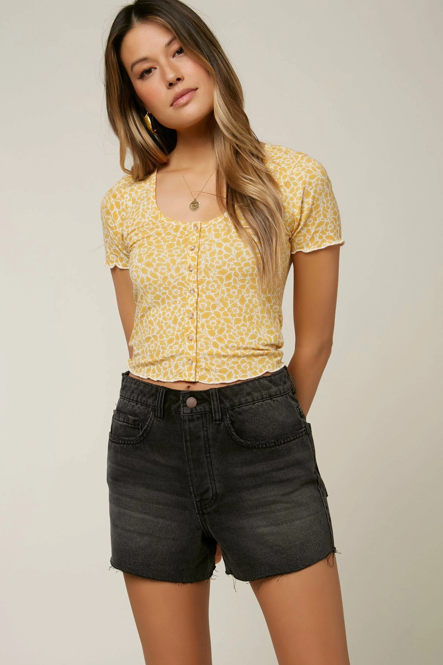 PAYLEY - Image 4
