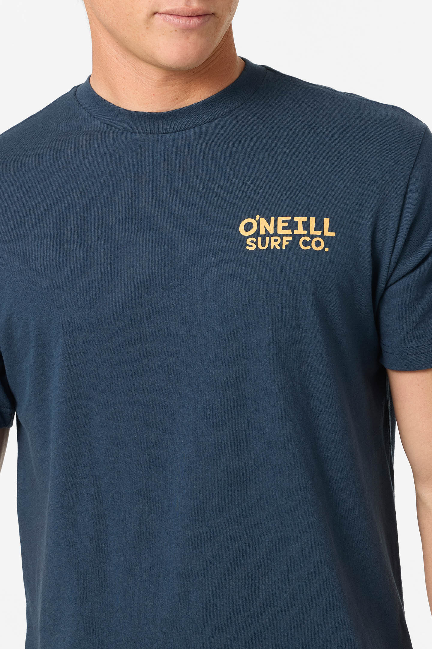 STEVEN SEAGULL TEE - Image 4