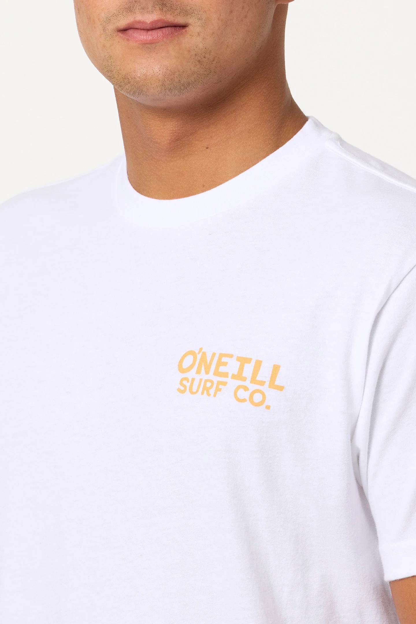 STEVEN SEAGULL TEE - Image 3