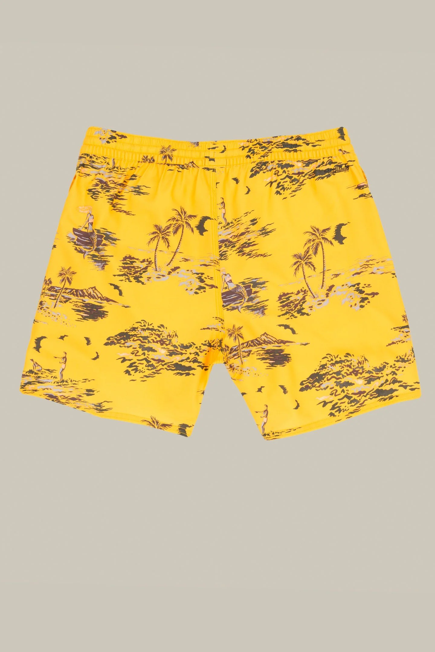 TROPICAL SHORTS - Image 3